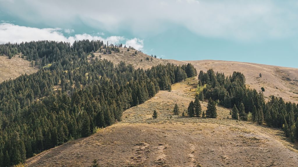 Jackson Hole, WY