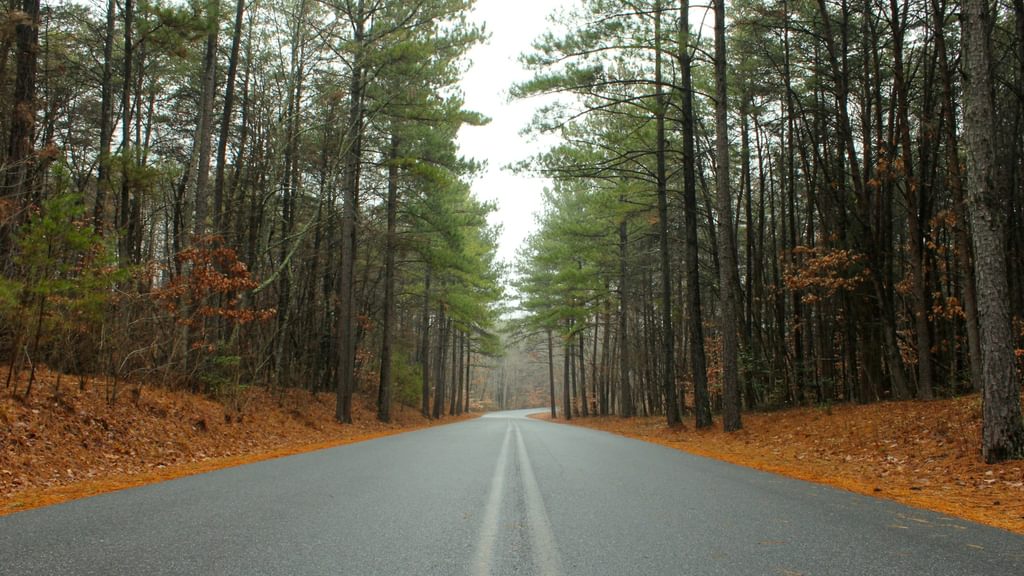 Greenville, NC