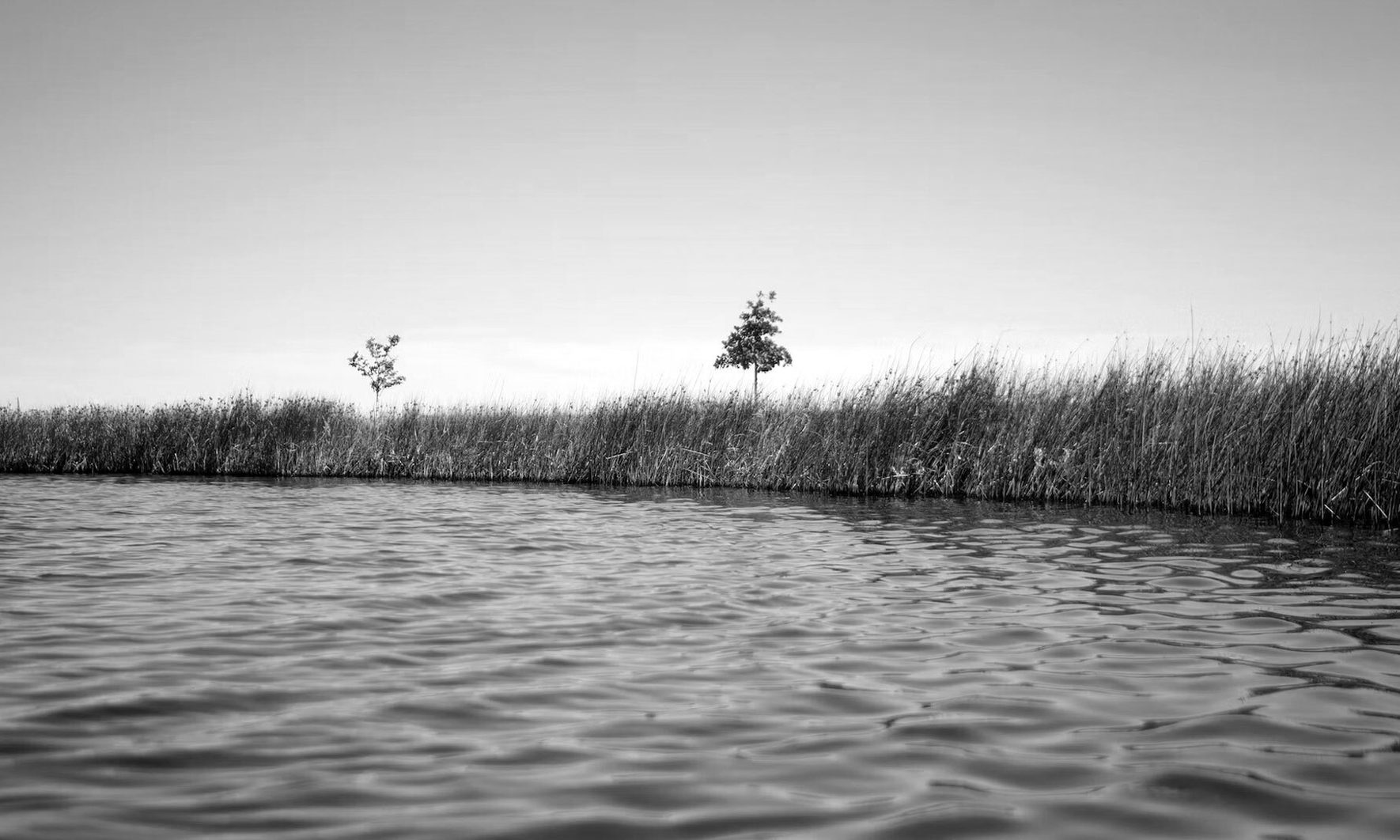 Environmental Stewardship